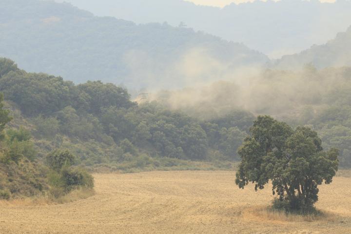 Las llamas se expanden a causa del incendio forestal en Orés (Zaragoza).