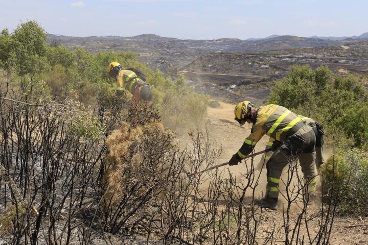 El operativo desplegado en el incendio forestal de Orés (Zaragoza)
