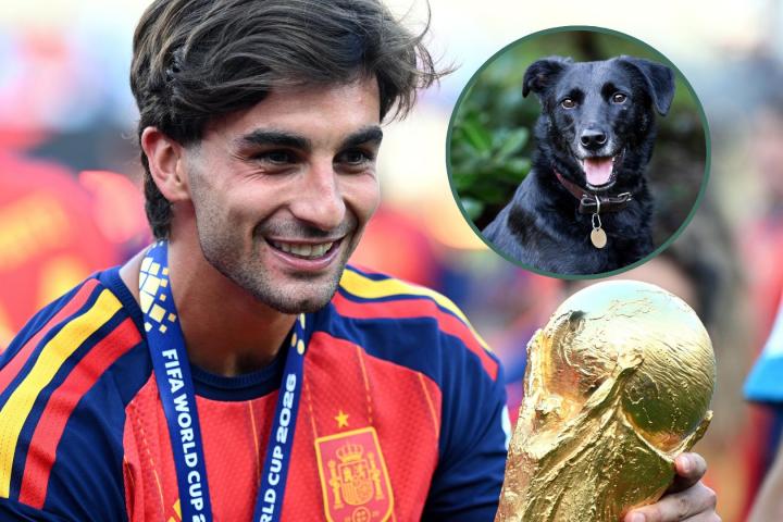 Ferran Torres y su relación con los perros de adopción