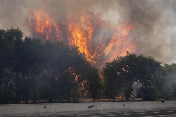Imagen del incendio forestal en Torrejón de Ardoz