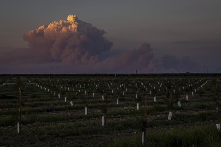 Un pirocumulonimbus nacido de las plumas de fuego de los incendios forestales de Australia en 2024