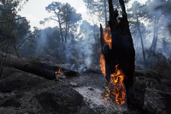 Zonas quemadas en los alrededores de el embalse de El Burguillo por el incendio que se originó en Burgohondo (Ávila)