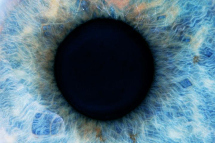 Detalle de un ojo humano