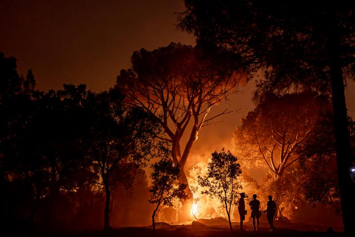 LA ADRADA, AVILA, SPAIN â" JULY 26: Flames engulf trees as a wildfire burns during overnight firefighting operations in La Adrada, in Spain's Avila province, on July 26, 2026. Fire crews continued battling the blaze through the night as it spread across forested areas, threatening nearby communities. (Photo by Diego Radames/Anadolu via Getty Images)