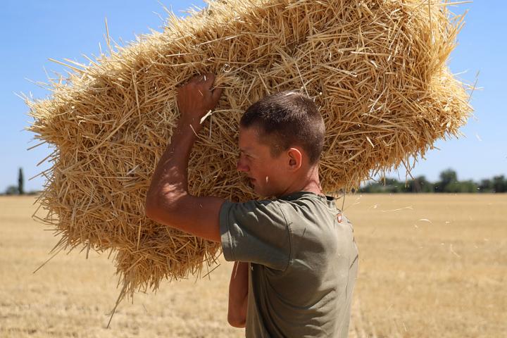 La vivienda, construida con 300 balas de paja como aislamiento, mantiene una temperatura interior de unos 24 grados incluso durante los episodios de calor extremo.