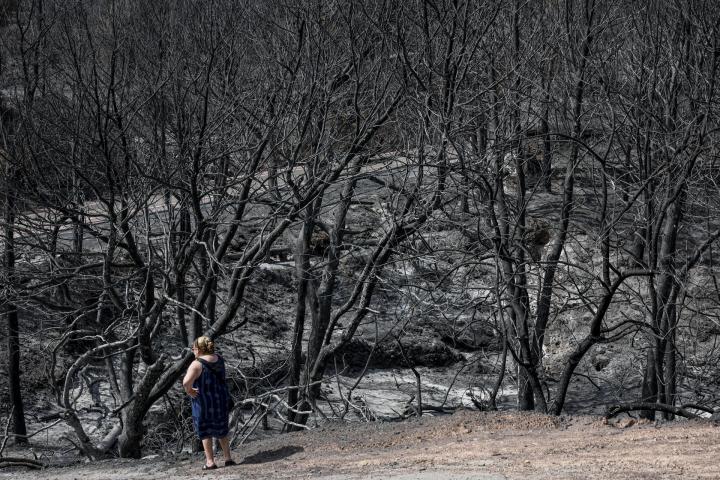 resumen-hoy-incendios
