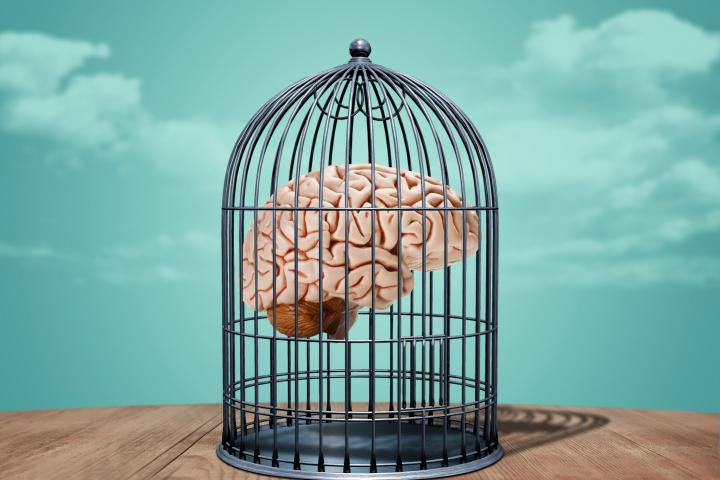 Un cerebro, dentro de una jaula.