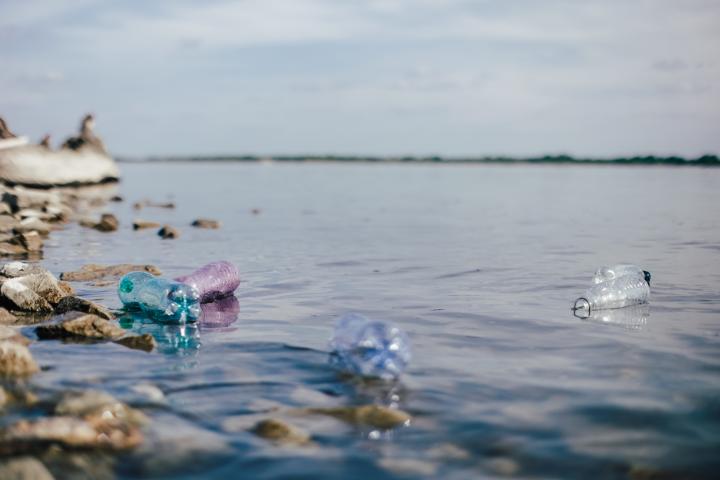 Contaminación de plásticos en orilla.