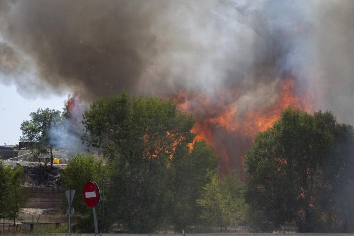 Incendio forestal.