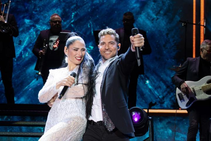 Rosa López fue una de las invitadas de David Bisbal en el concierto por su 30 aniversario en la música.