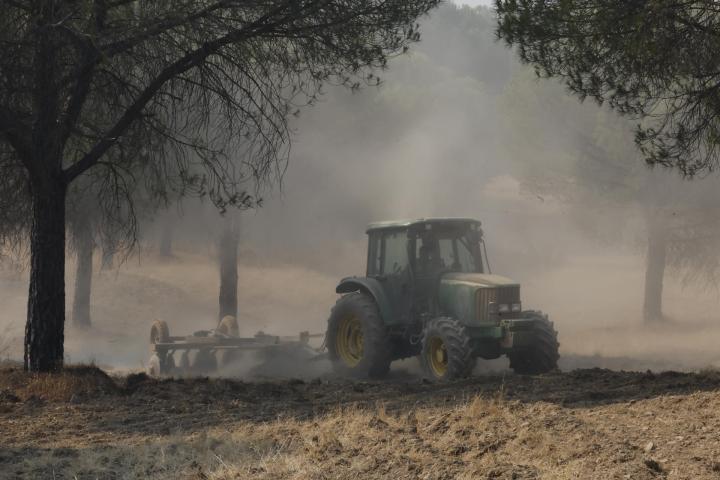 Maquinaria pesada realiza cortafuegos por el incendio de Niebla (Huelva), el 11 de agosto de 2026.
