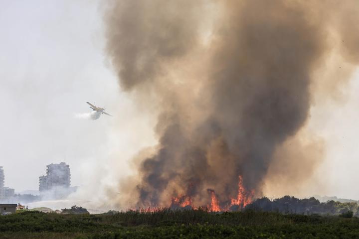 alt="alt="Imagen del incendio forestal declarado en Gola de Pujol, El Saler, Valencia""