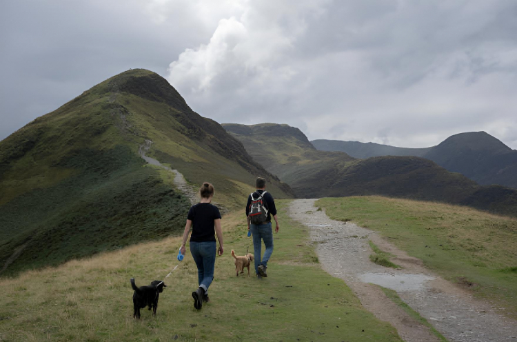 Una pareja paseando a sus mascotas por Lake District, en Reino Unido