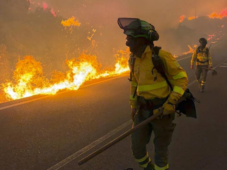 Varios bomberos trabajando en el incendio de Los Gallardos.