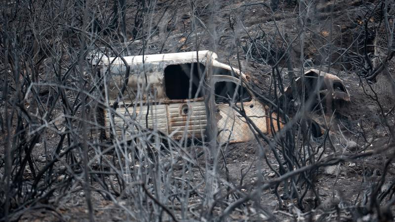 Una furgoneta quemada, entre un campo arrasado por las llamas en León.