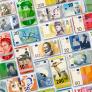 Estas son las fabulosas aves que pueden aparecer en los nuevos billetes de euro y que están presentes en nuestros paisajes
