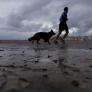 "Me habría arrepentido toda la vida si no lo hubiera hecho": deja toda su vida atrás con 43 años para hacer realidad su sueño y ganarse la vida gracias a su pasión por los perros