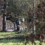 Los homicidios se han desplomado hasta un 50% en Europa desde 2000, pero la mayoría de españoles, italianos o franceses cree que los crímenes están aumentando