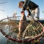 EEUU está perdiendo otra guerra, pero contra la carpa asiática: los pescadores, obligados a llevar casco navegando ríos para protegerse de esta especie invasora