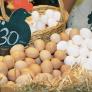 ¿Qué está pasando con el precio de los huevos en España? Spoiler: la culpa no es solo de la gripe aviar