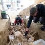 El equipo que está trabajando en la fosa de Ejea de los Caballeros limpiando los restos encontrados.