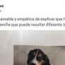 Adopta un perro y el cartel que cuelga en la comunidad de vecinos da la vuelta a España: la respuesta de uno de ellos triunfa