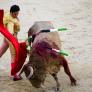 La ONU señala a España por permitir que los menores de edad participen en espectáculos taurinos