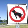 Recoger o pagar: hasta 500 euros de multa por 'olvidarse' la caca de perro en la calle