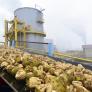 Javier, agricultor de remolachas: "La rentabilidad es poca para el trabajo que da"
