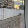 Abatido un jabalí que se coló en las vías del Metro de València