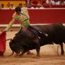 La ONU recomienda a España prohibir que los menores de 18 años vayan a corridas de toros
