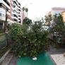 La AEMET activa el aviso rojo en Castellón por rachas de viento de hasta 140 km/h este sábado