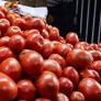 Europa admite que no sabe cuánto tomate entra de Marruecos en plena guerra de precios con los agricultores españoles