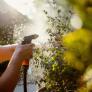 Los jardineros coinciden: este simple gesto en casa tiene un impacto mayor del que se puede pensar