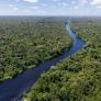 Buenas noticias para el mundo: el nivel de deforestación en el Amazonas cae a su nivel más bajo desde 2019, pero las amenazas continúan