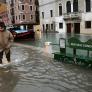 Suena raro pero los científicos lo avalan: Venecia debería trasladarse piedra a piedra para evitar su hundimiento en los próximos 300 años
