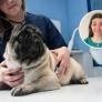 Laura Casquero, estudiante de veterinaria: "Si alguna vez llegas a identificar alguno de estos síntomas en tu mascota deja lo que estés haciendo y corre al veterinario"