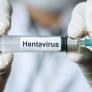 Investigadores de Vanderbilt: "Tenemos un fármaco contra el hantavirus prometedor, pero faltan 40 millones de dólares para el siguiente paso y nadie los pone"