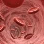 Adiós a las hemorragias incontrolables: un equipo de científicos e investigadores desarrolla un coágulo artificial 13 veces más resistente que el natural