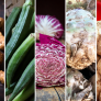 Ni zanahorias ni judías: un cirujano cardiovascular recomienda 5 verduras que casi nadie come
