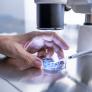 Desarrollan una IA que podría reducir entre un 30 y un 50% el número de animales en los experimentos de investigación farmacológica
