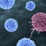 Itai Yanai, investigador y biólogo computacional: "El cáncer es mucho peor de lo que pensábamos, usan los genes contra nosotros en un motín"