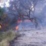 Batalla contra el fuego en Doñana por dos focos, en plena noche del salto de la reja