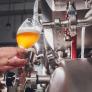 Los investigadores coinciden: los residuos del lúpulo al producir cerveza son ingredientes útiles para crear cremas solares