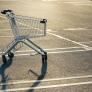 Vanessa, joven de 19 años, empuja un carrito de la compra y ahora tiene que pagar una multa de 140 euros