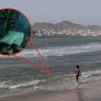 Un tiburón angelote muerde a una bañista en Lanzarote pero la biología lo confirma: no es un animal agresivo y además está en peligro de extinción