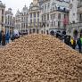 Europa tira millones de patatas mientras llegan las más baratas de China e India: los agricultores denuncian la competencia desleal que enfada al campo español