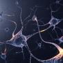Pocos lo saben, pero el cuerpo humano produce electricidad suficiente para activar pequeñas células nerviosas constantemente