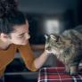Nicole, etóloga felina: "Si ves todas estas señales en tu gato no tienes que forzarlo o acariciarlo, solo acompañarlo con calma"