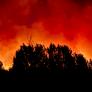 Andalucía reclama a la UME tras elevar a nivel 2 la emergencia por el fuego de Villanueva